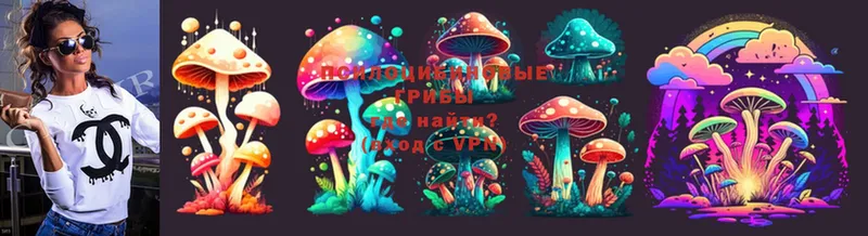 Галлюциногенные грибы Cubensis  кракен как войти  Ковылкино 